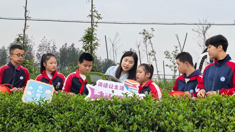 书香茶语润童心 绘本同行伴成长
——黄山市特殊教育学校与黄山市图书馆开展茶文化户外绘本阅读实践活动