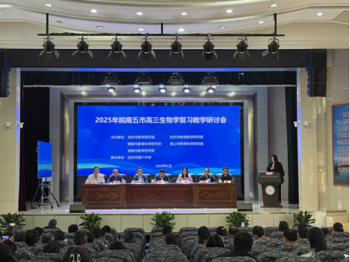 区域协同聚合力 精准施策谋新篇