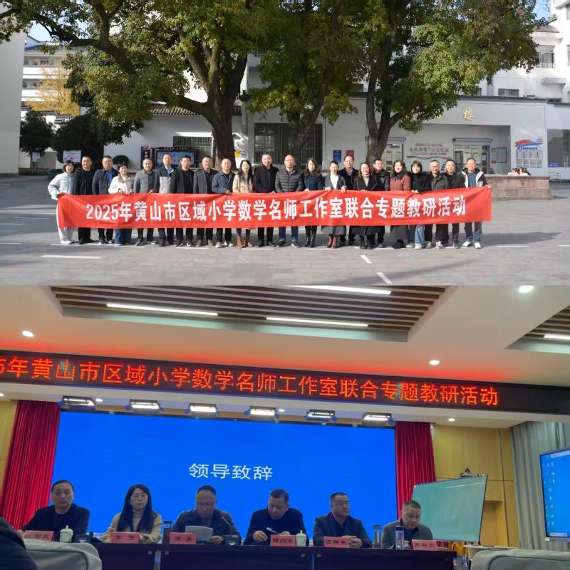 “导-师-制+”跨域联动，赋能单元教学新样态